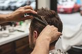 Corte