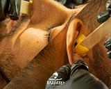 Combo Depilação (Nariz e Orelha)