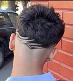 risco freestyle