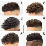 Corte