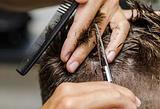 Corte