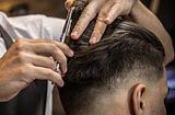 Corte 