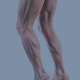 Depilação com Máquina nas Coxas e Canelas