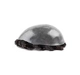 3.0 Manutenção Prótese C.