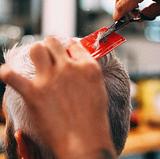 Corte