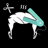 Selagem + Cabelo + Hidratação Ozônio