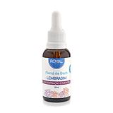 Lembrasim - Floral de Bach - Royal