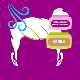 Argila Capilar + Hidratação Capilar com Vapor de Ozônio