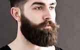 Barba